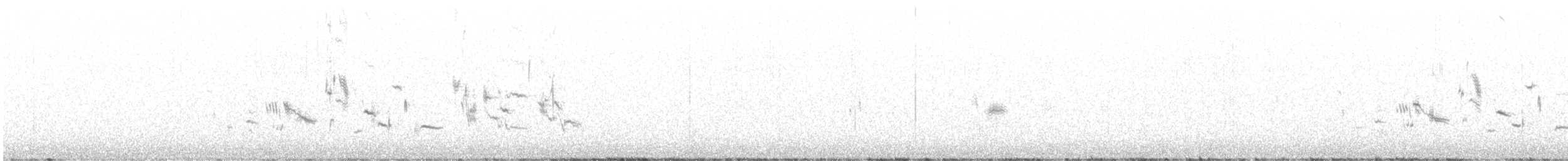 Plectrophane lapon - ML619070002
