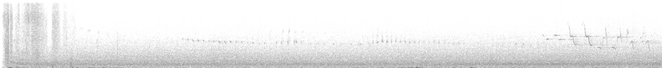 White-throated Swift - ML619075476