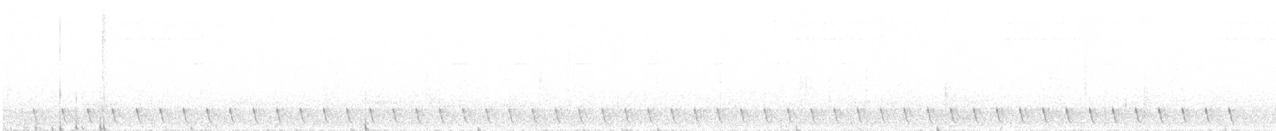Graunachtschwalbe - ML619076017
