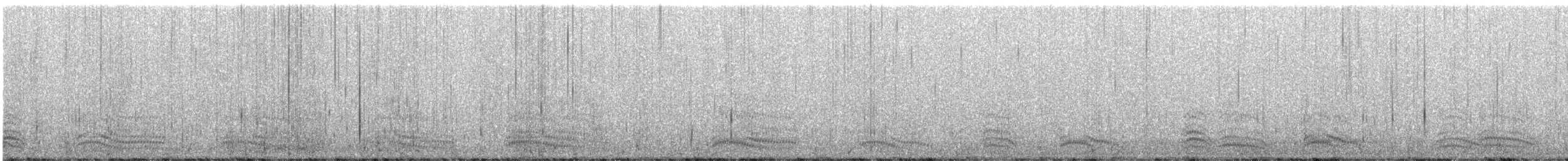 Braunkopfmöwe - ML619077237