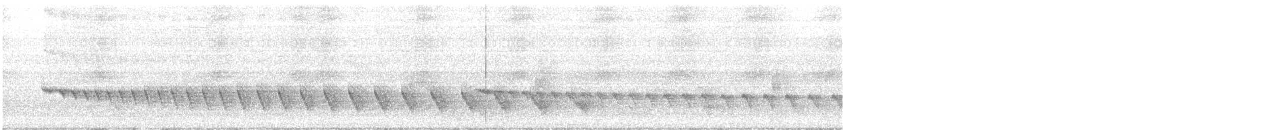 Grauband-Ameisenvogel - ML619078700