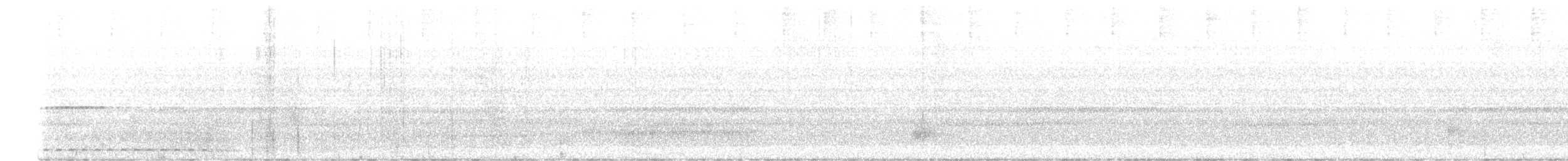 Santa Marta Screech-Owl - ML619078871