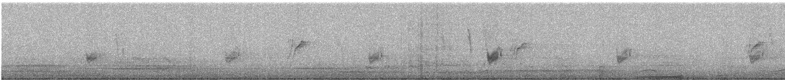 Savannennachtschwalbe - ML619079712