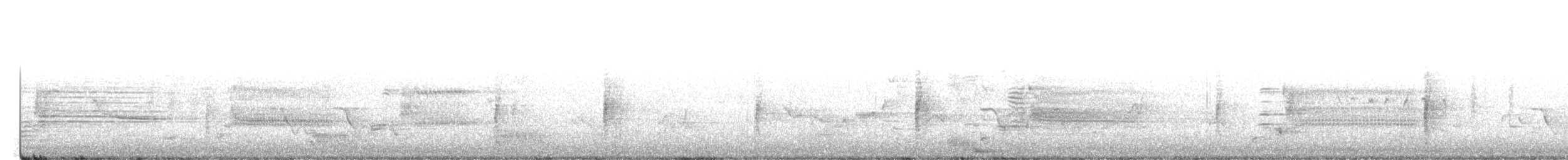 אנפית-גמדית אמריקנית - ML619081341