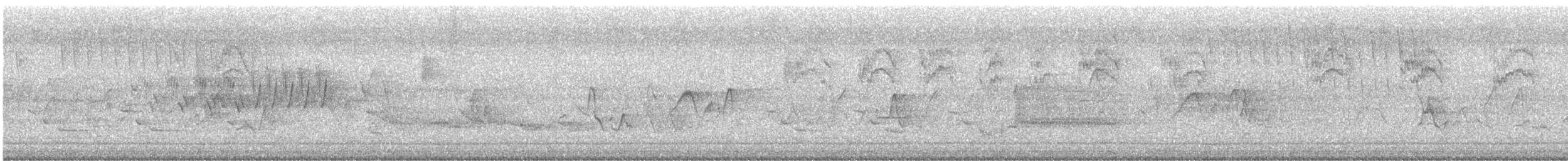 Cerulean Warbler - ML619081503