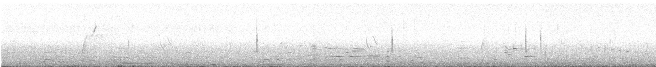 キヅタアメリカムシクイ（coronata） - ML619085096