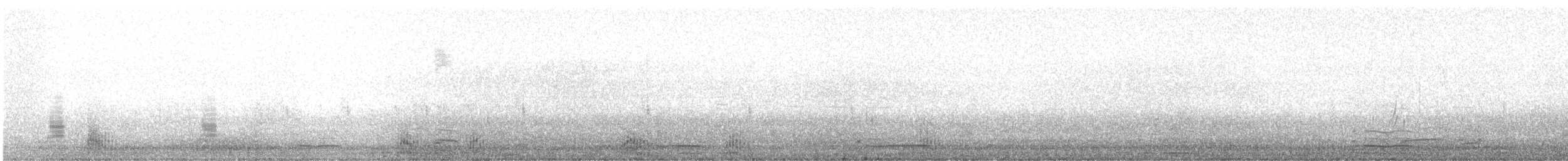 小斑背潛鴨 - ML619085119