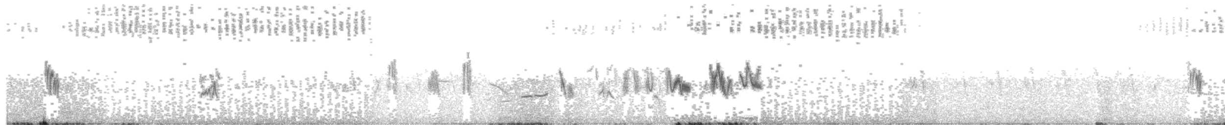 Сомалийский жаворонок (athensis) - ML619085137