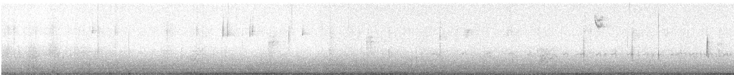 Миртовый певун (coronata) - ML619085352