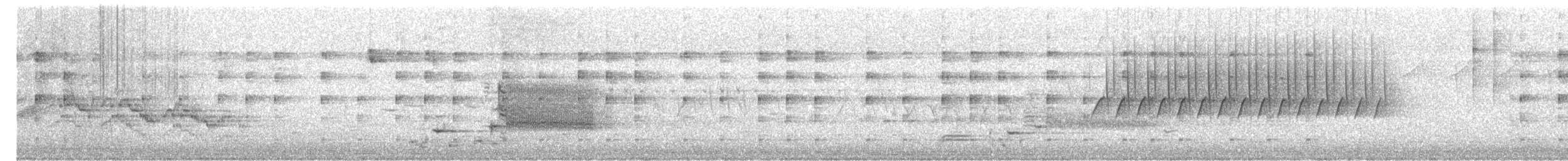 Polluela Amarillenta - ML619086207