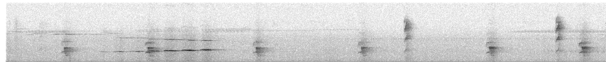 Grallaire de Natterer - ML619087069