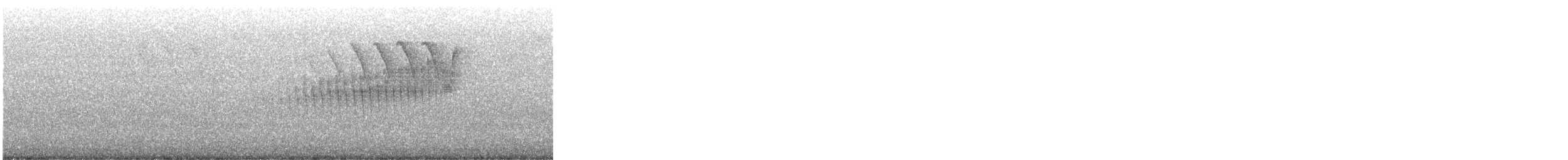 Cerulean Warbler x Northern Parula (hybrid) - ML619087330