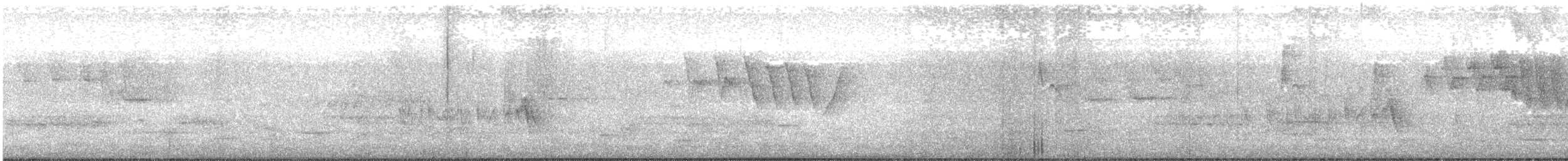 Віреон короткокрилий (підвид bellii/medius) - ML619088953
