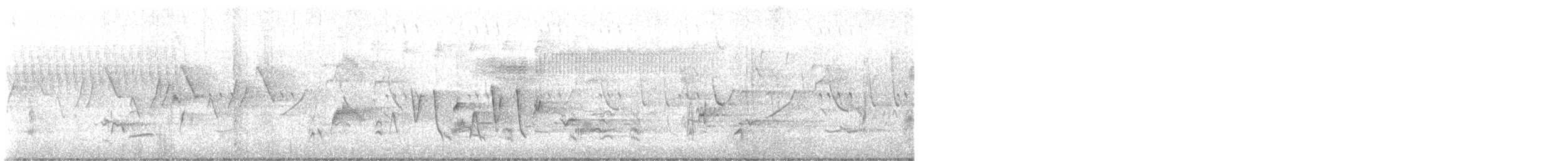 Connecticut Warbler - ML619089105