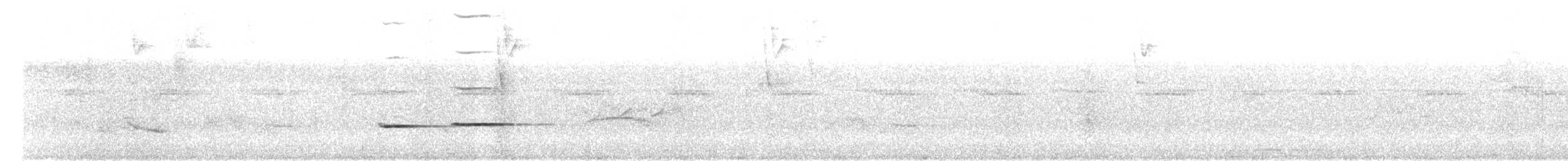 Striped Cuckoo - ML619090481