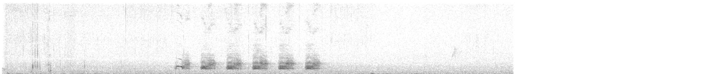 Trogon élégant - ML619091391