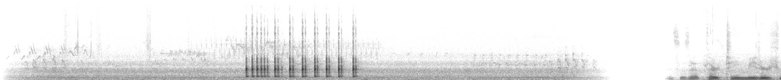 Дятел-смоктун білочеревий - ML619091624