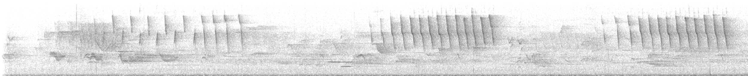 Tennesse Ötleğeni - ML619093775