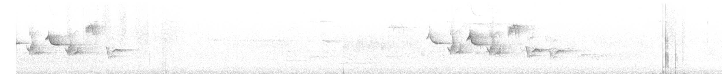 lejsek černohlavý - ML619094034
