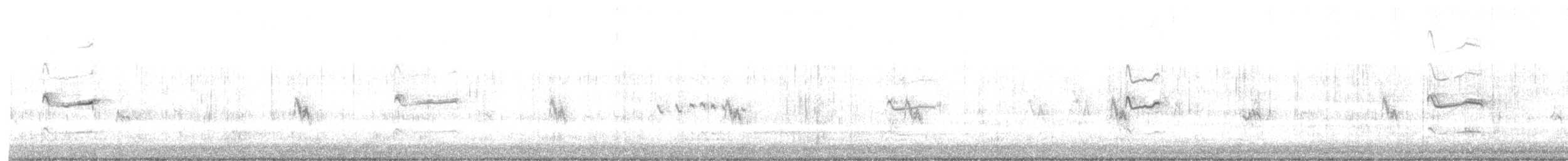hvithalesvømmesnipe - ML619094469