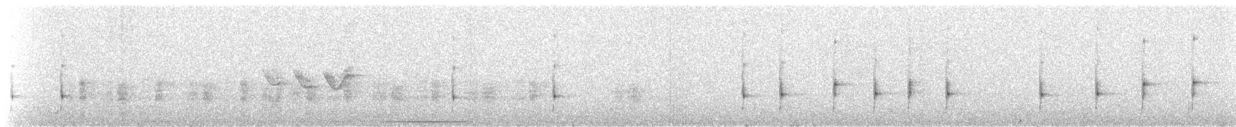 Microtyran oreillard - ML619098811