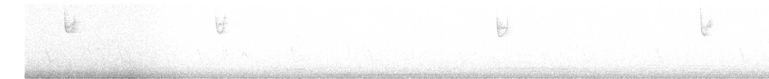 Красношапочная атлапета - ML619099306