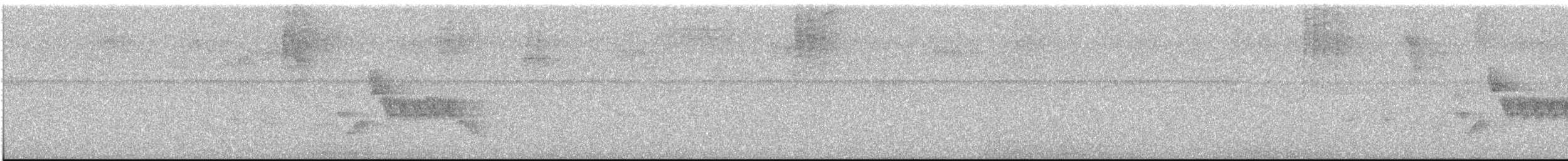 Southern House Wren - ML619101052