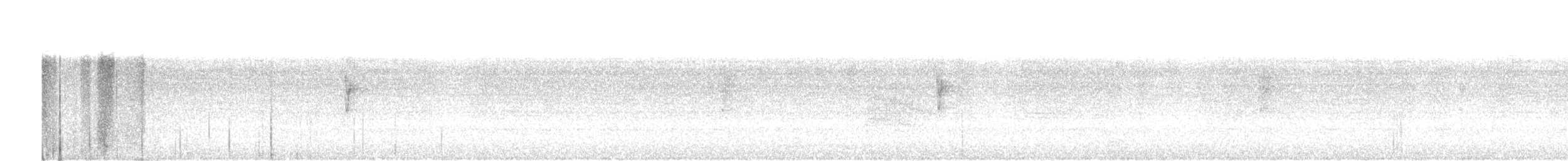 Troglodyte rufalbin - ML619101758
