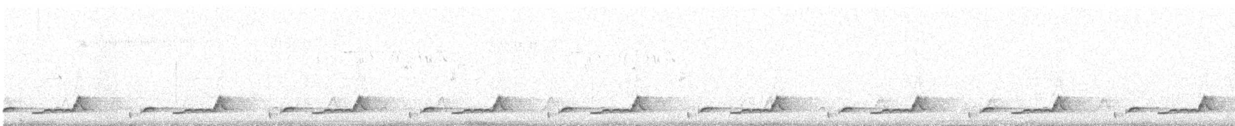 Schwarzkehl-Nachtschwalbe - ML619101982