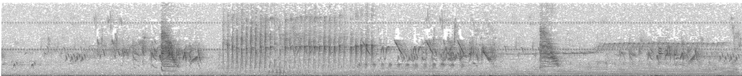 Ictérie polyglotte - ML619105491