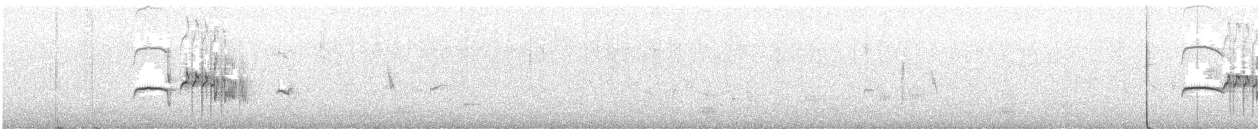 Тиранчик-тонкодзьоб північний - ML619106821