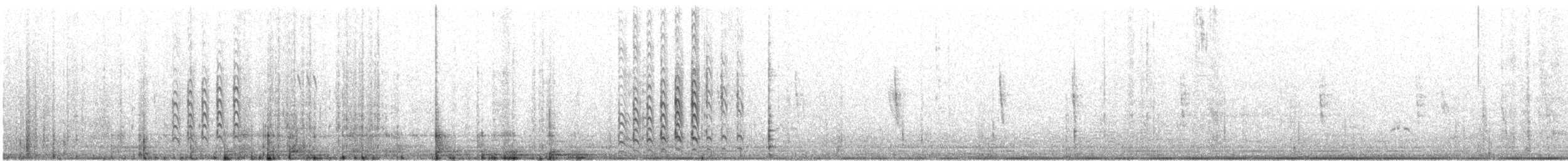 Schwarzschopfkiebitz - ML619107300