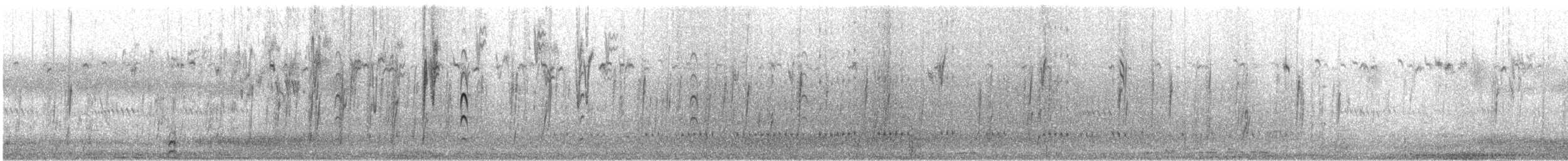 Red-billed Quelea - ML619107380