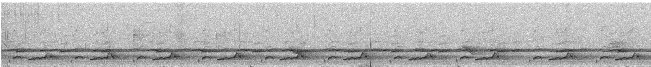 Eastern Whip-poor-will - ML619107566