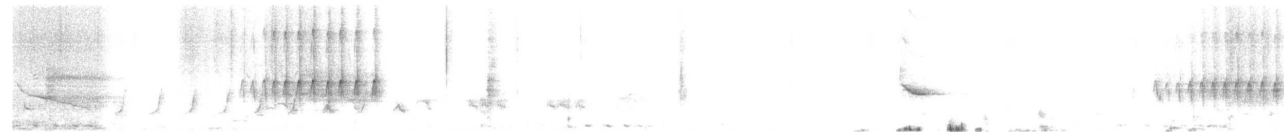 אנפית גמדית אמריקנית - ML619108143