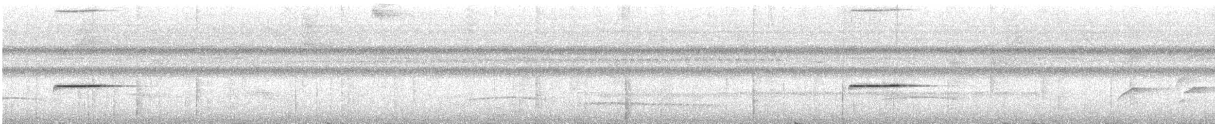 Troglodyte siffleur - ML619108552