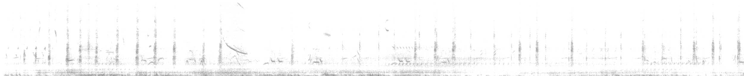 Büyük Çil Yelvesi - ML619110095