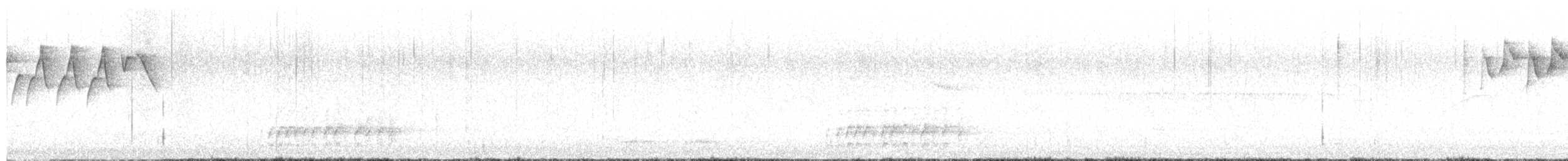 lesňáček černobílý - ML619111761