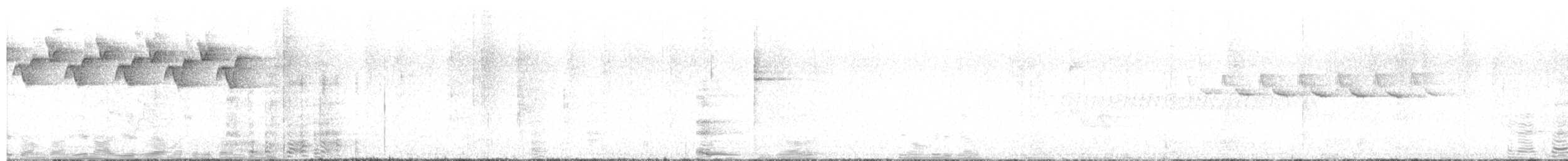 lesňáček černobílý - ML619111762
