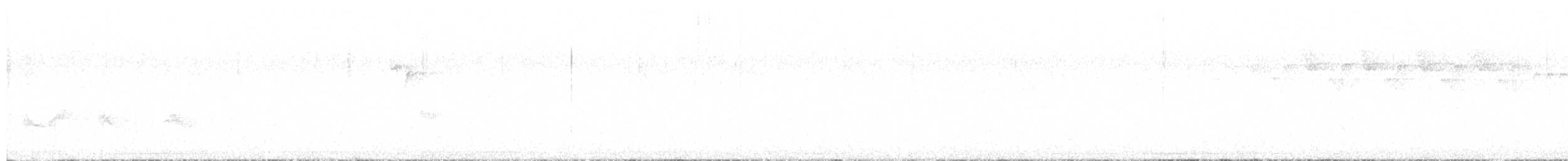 lesňáček černobílý - ML619111763