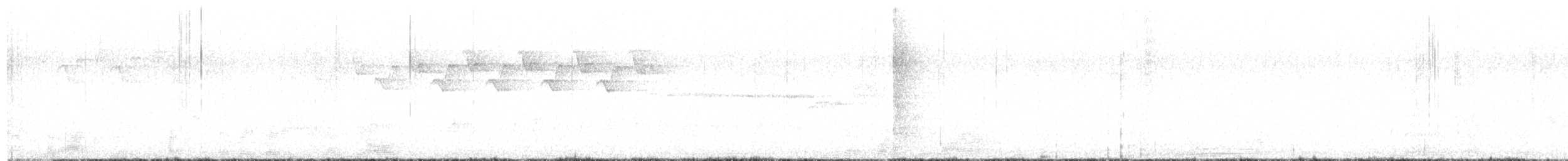 lesňáček černobílý - ML619111765