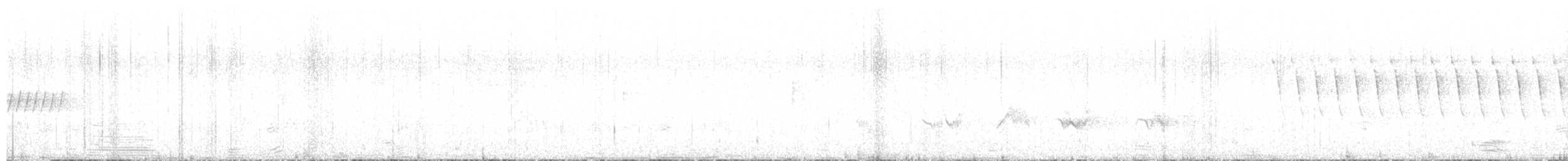 lesňáček borovicový - ML619111879