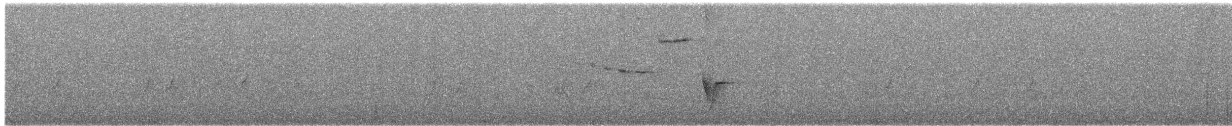 Troglodyte à calotte noire - ML619112469