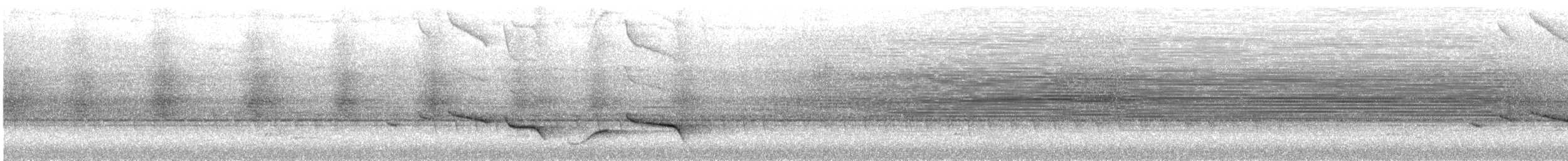 Nava Çıtkuşu - ML619112708