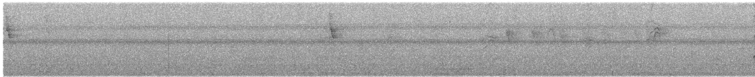 Microtyran chevelu - ML619112766