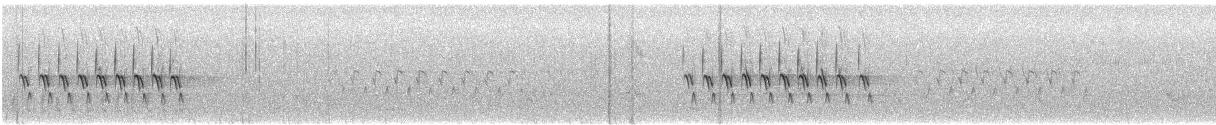Юнко сірий (підвид dorsalis) - ML619113391