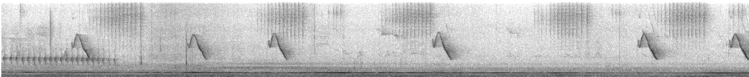 Huttonvireo - ML619113763