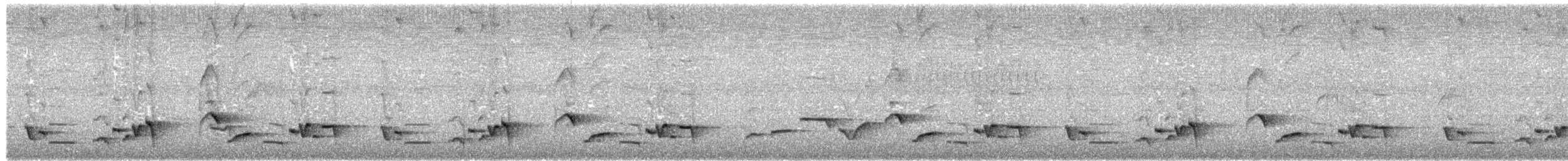 Серогрудый крапивник - ML619114439