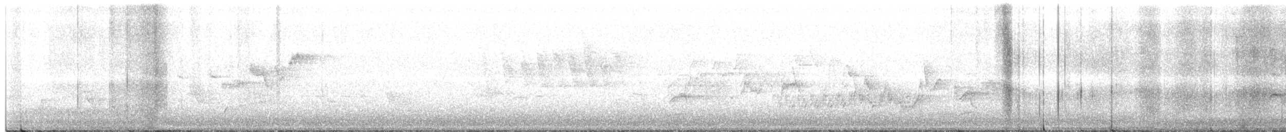 Northern House Wren - ML619117705
