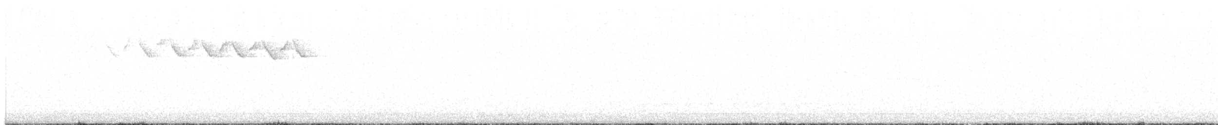 Paruline noir et blanc - ML619119102